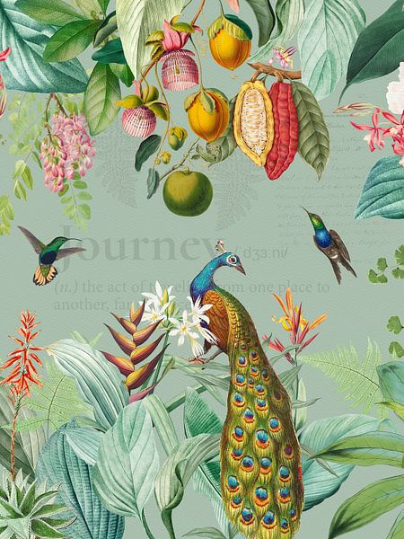 Bunte tropische Vintage-Pfaun und Kolibri Dschungel von Floral Abstractions
