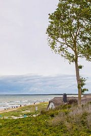 Ahrenshoop - beach by t.ART