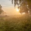 een sfeervolle mistige ochtend op de Leiemeersen in Lauwe - Menen, Belgie van Fotografie Krist / Top Foto Vlaanderen