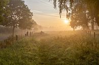 een sfeervolle mistige ochtend op de Leiemeersen in Lauwe - Menen, Belgie van Fotografie Krist / Top Foto Vlaanderen thumbnail