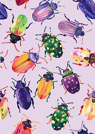 Colourful beetles by Liv ter Riet