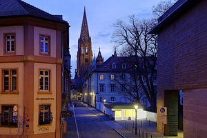 Gassenpilger Freiburg