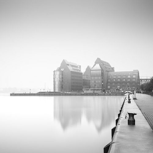 Silohalbinsel Rostock (b/w)