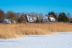 Bodden met huizen in Born aan de Fischland-Darß in de winter van Rico Ködder