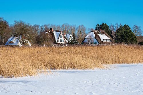 Bodden met huizen in Born aan de Fischland-Darß in de winter