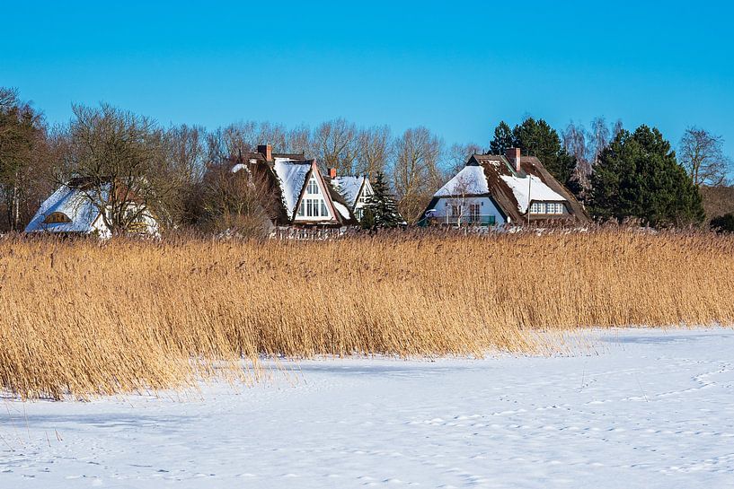 Bodden mit Häuser in Born auf dem Fischland-Darß im Winter von Rico Ködder