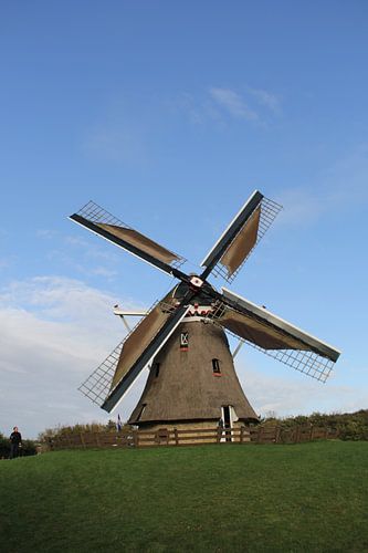 The Phenix (portrait)