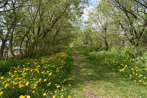 Een parcours in het voorjaar