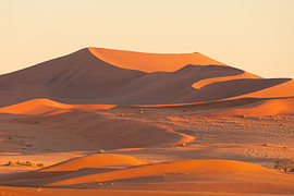 golden dunes by Jordy van der Schouw