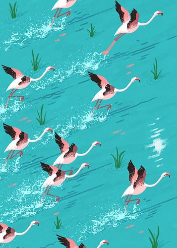 Flamingos die opstijgen
