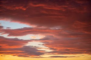 Avondrood