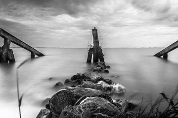 storm stakes black and white by Bas Nuijten
