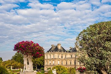 View to the Jardin du Luxembourg in Paris, France