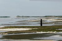 Waddenzee met laag water