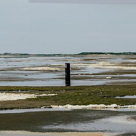 Waddenzee met laag water van Meint Brookman