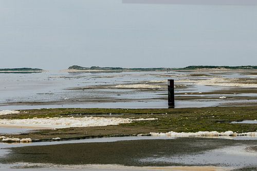 Mer des Wadden à marée basse sur Meint Brookman