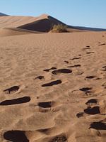 op weg naar Deadvlei