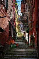 Narrow staircase between colorful houses in the old town of Mont