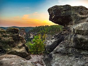Vue sur la Goldstein, Suisse saxonne - Gorges du Goldlochschlüchte