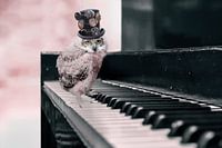 Steampunk Owl on Old Piano - Unique Decoration for Vintage Interiors