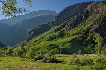 Arkadische Landschaft in den schottischen Highlands von Haarms