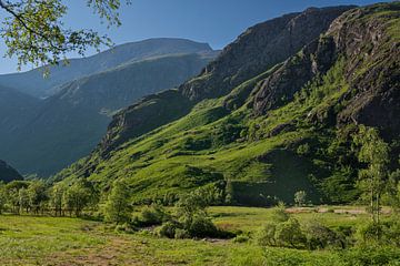 Paysage arcadien dans les Highlands écossais sur Haarms