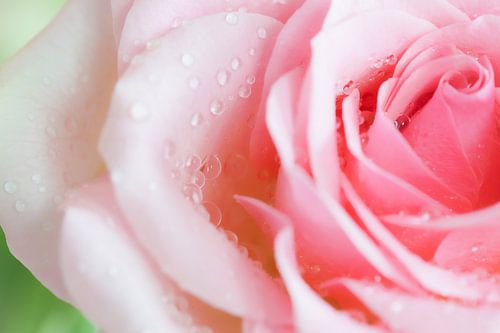 Nach Regen kommt Sonnenschein von Martijn van Etten