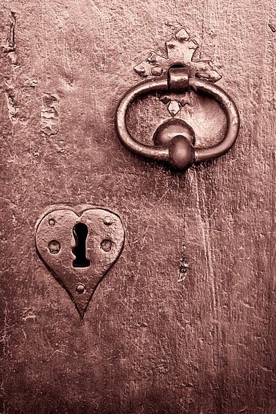 The purple heart by Halma Fotografie