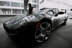 Toller Fisker