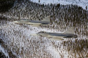 Zweedse Luchtmacht JAS-39 Gripen
