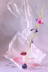 Still life 'Gladiolus by Willy Sengers