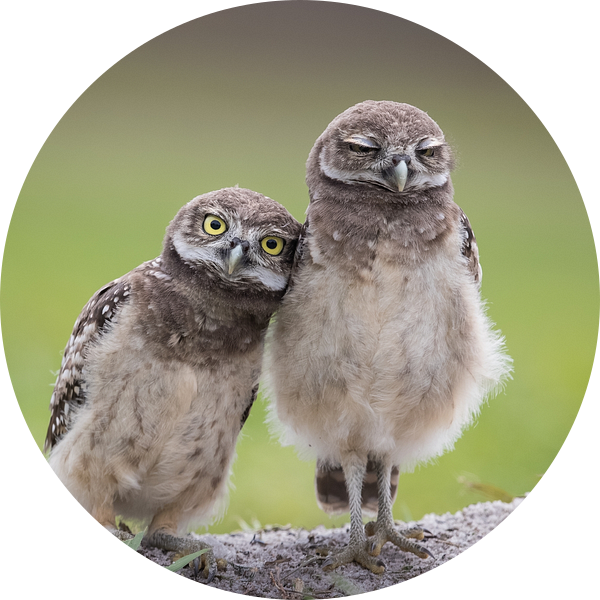 Vrienden van Greg Barsh