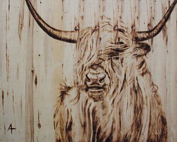 Highlander écossais