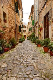 Picturesque Valldemossa by Venkat Ayyalasomayajula