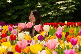 Tulips in the Keukenhof by Brian Morgan