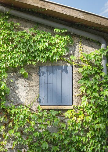 Franse Landelijke Gevel – Natuurlijke Foto Print | Rustieke Muurkuns