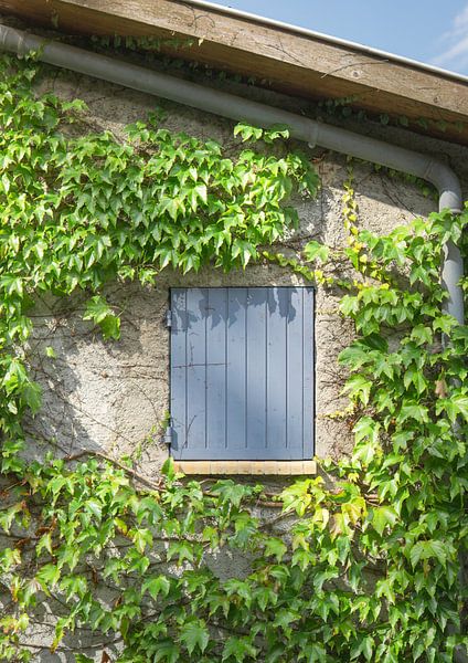 French Country Gables - Natural Photo Print | Rustic Wall Arts par MelCaptures