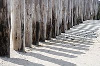 Ombre à travers les têtes de pile