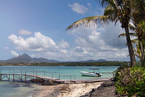 Tropical island paradise