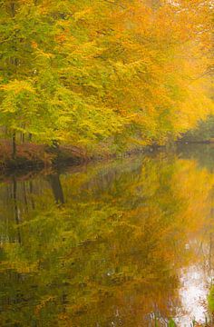 la splendeur de l'automne sur Anita van Gendt