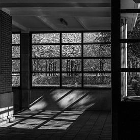 Spring entering through the window von Boudewijn Tempelmans