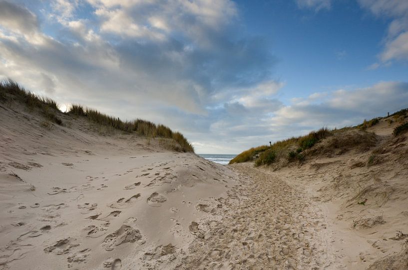 Slogging through the dune, almost at the North Sea beach in Bergen aan Zee by Martin Jansen