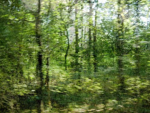 De zon fluistert zomergroen