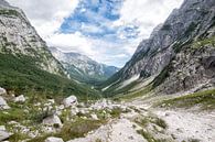 Vrata vallei Slovenie van Cynthia van Diggele thumbnail