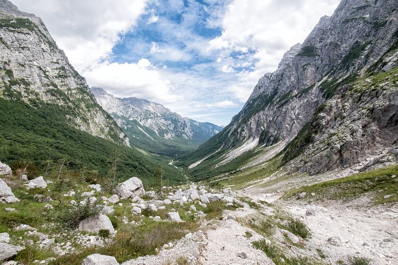 Vrata vallei Slovenie van Cynthia van Diggele