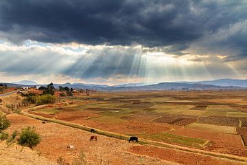 Les rayons du soleil dans les paysages de Madagascar