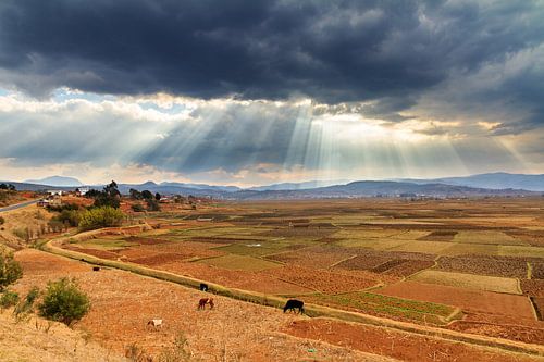 Sun rays in Madagascar's landscape by Dennis van de Water