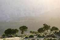 Sardinian Valley II van Mark Leeman thumbnail