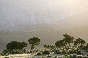 Sardinian Valley II van Mark Leeman
