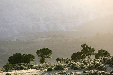 Sardinian Valley II van Mark Leeman